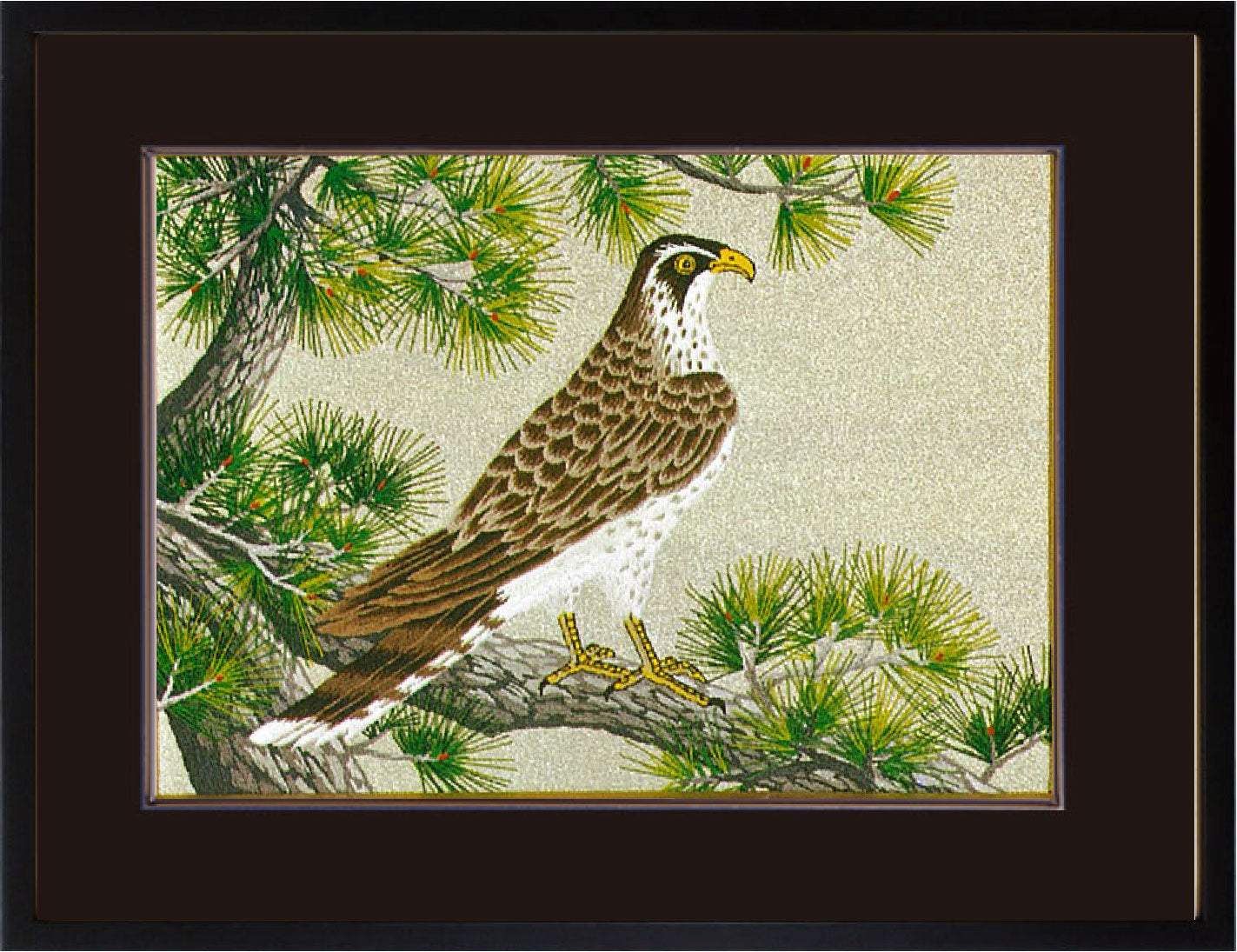 No.285 Hawk on Pine