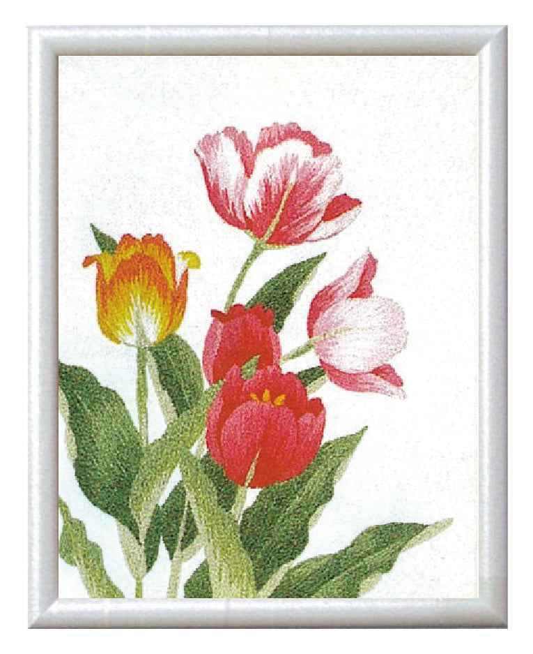 No.742 Tulip Set with Frame