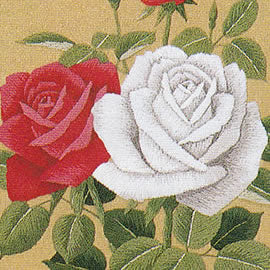 薔薇