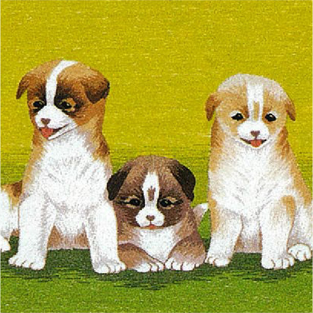 No105 三匹の仔犬