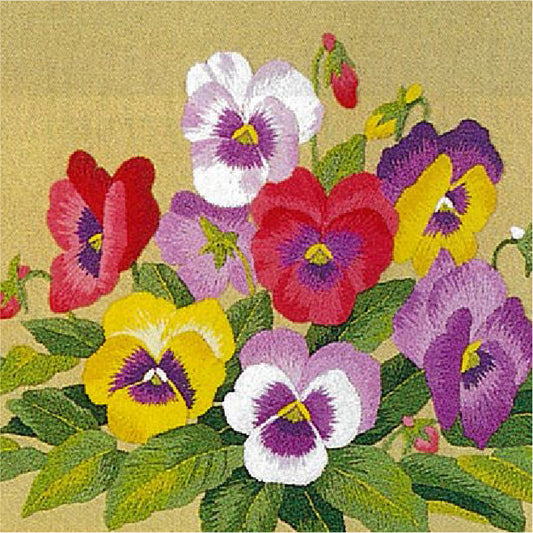 No.113 Tricolor Violets
