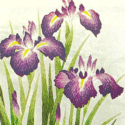 No.141 Rabbit-Ear Iris