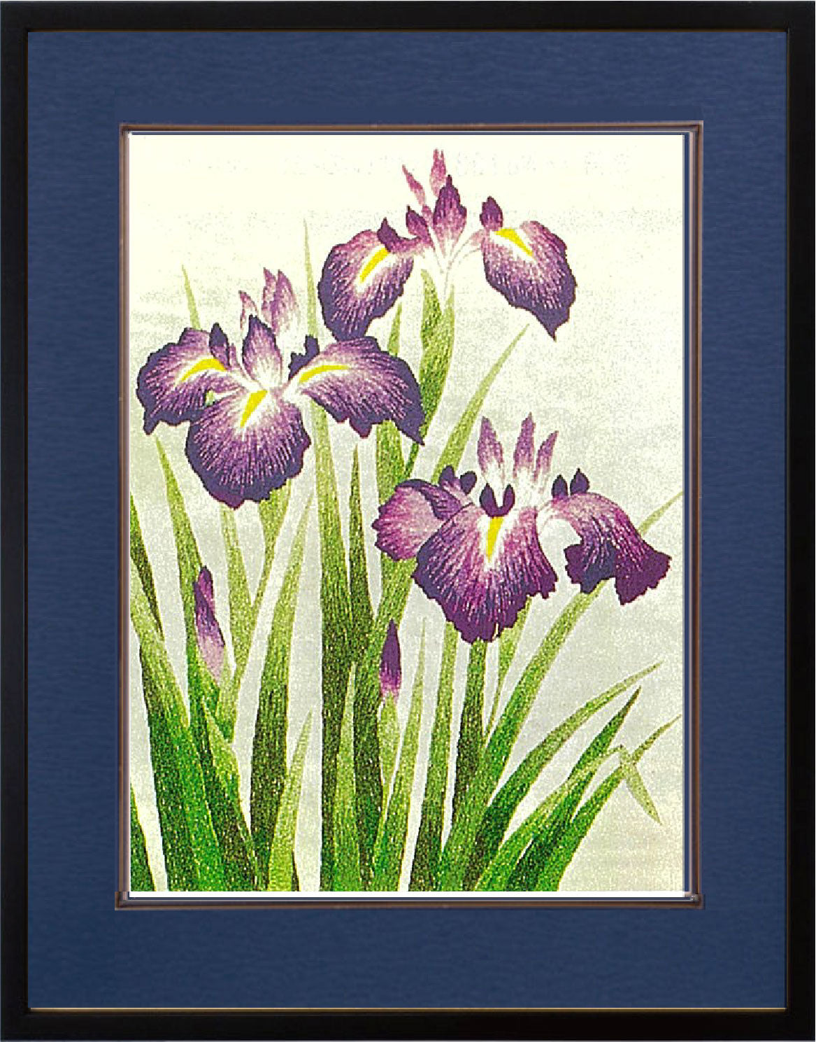 No.141 Rabbit-Ear Iris