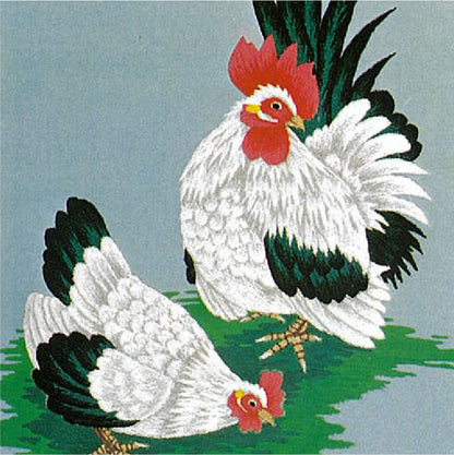 No144 ちゃぼ