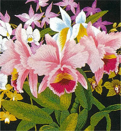 No151 らんの花