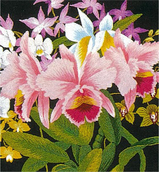 No.151 Orchids