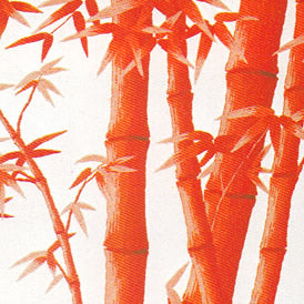 No221 朱竹 (6号)