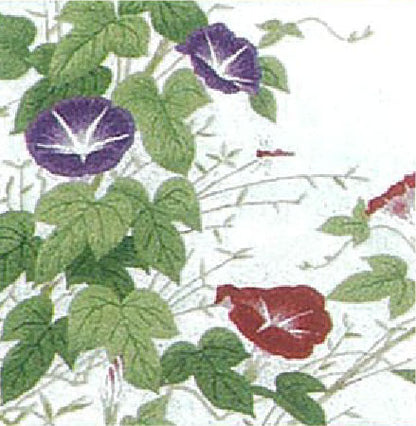 No.27 Morning Glories (Size 3)