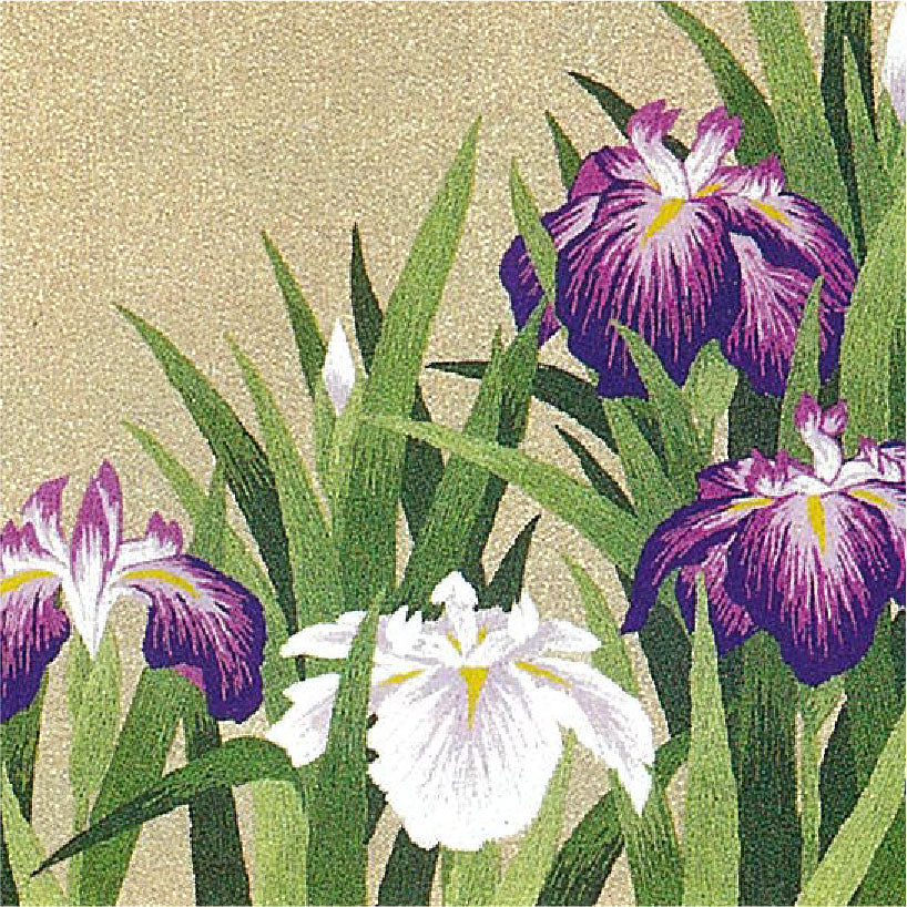 No286 花菖蒲