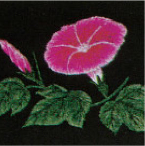 No.102 Magnolia