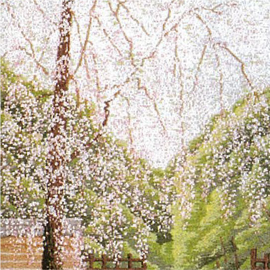 No.39 Spring in Kyoto