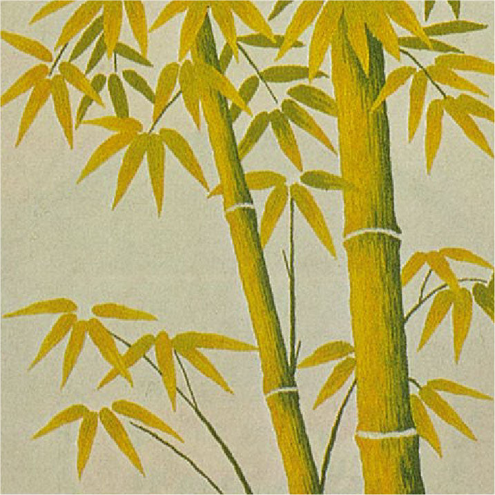 No.415 Young Bamboo(Size#3)