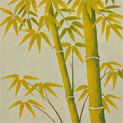 No.415 Young Bamboo(Size#3)