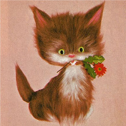 No420 こねこ