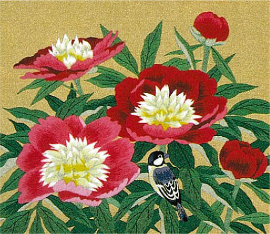 No457 しゃくやく