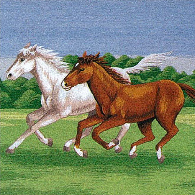 No.471 Horses on the Meadow