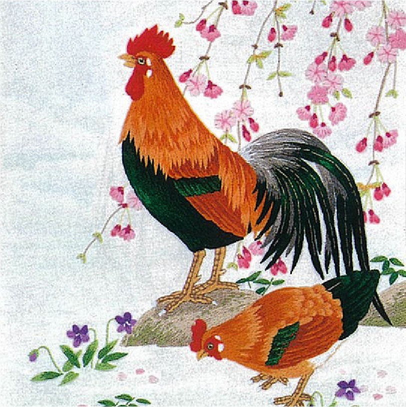No480 鶏と桜