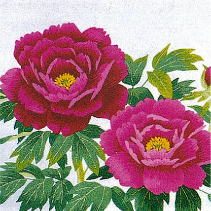 No71 ぼたん