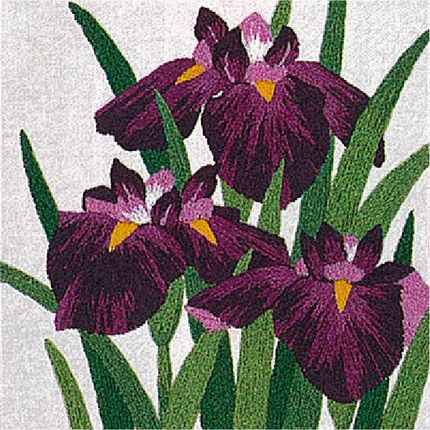 No.712 Iris (with frame)
