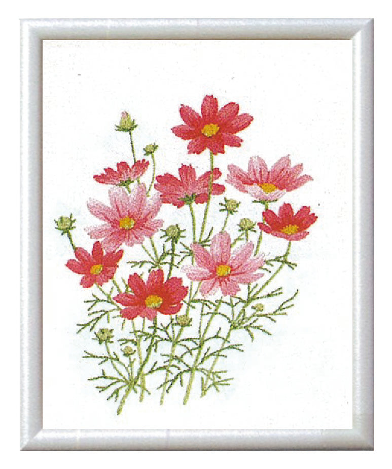 No.741 Cosmos Set with Frame