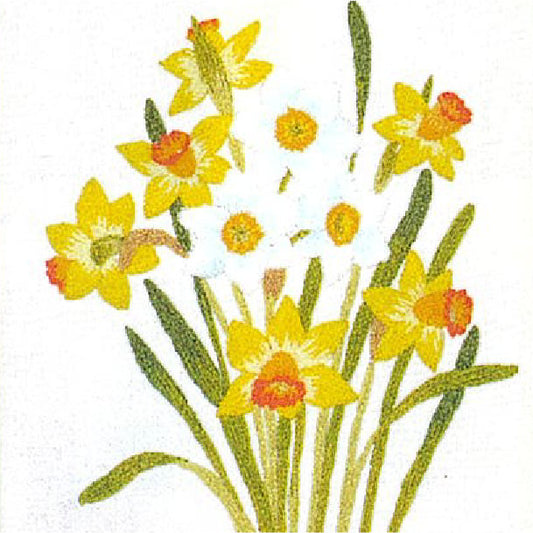 No.745 Daffodil Set with Frame