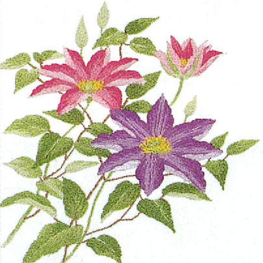 No.746 Clematis Set with Frame