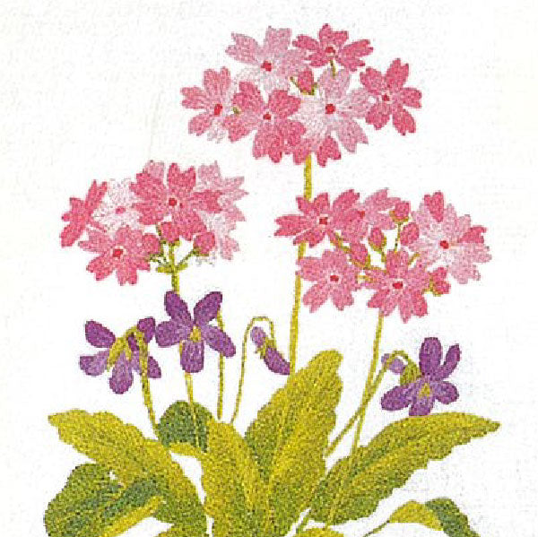 No748 さくら草 額付きセット
